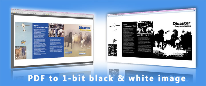 PDF documents into 1 bit Black  White images
