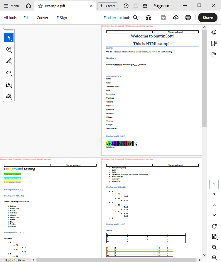 add page header and footer output