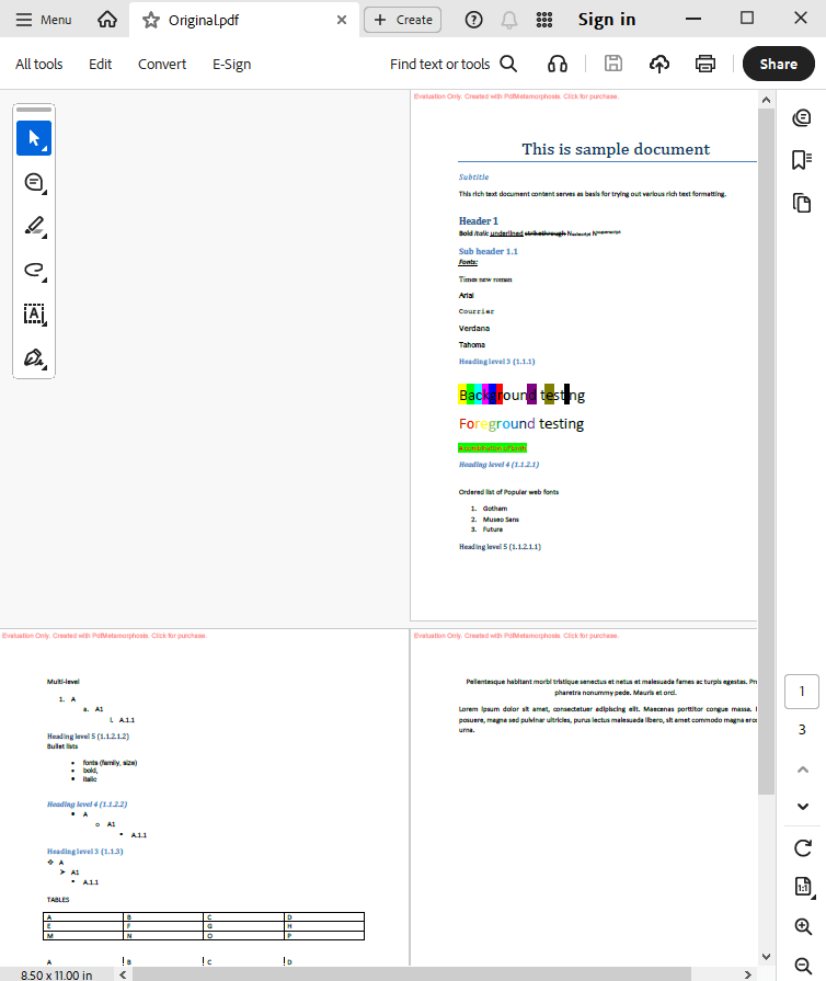 rtf to pdf change the page footer to the custom output original