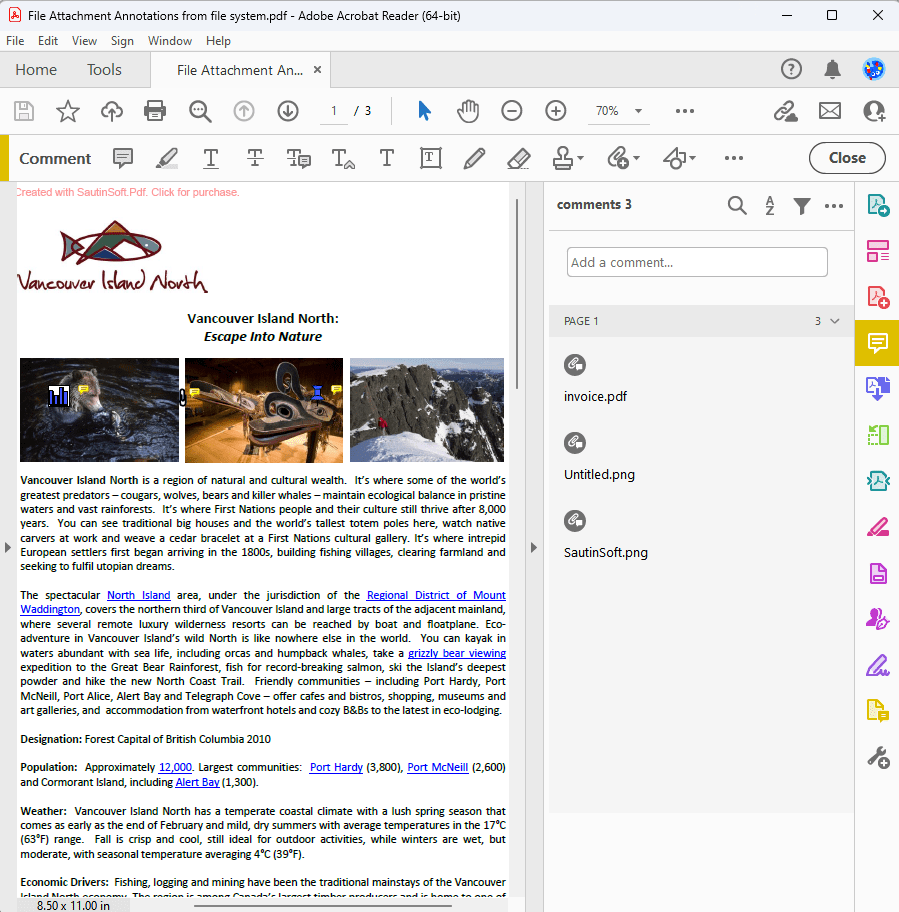 insert a picture content control