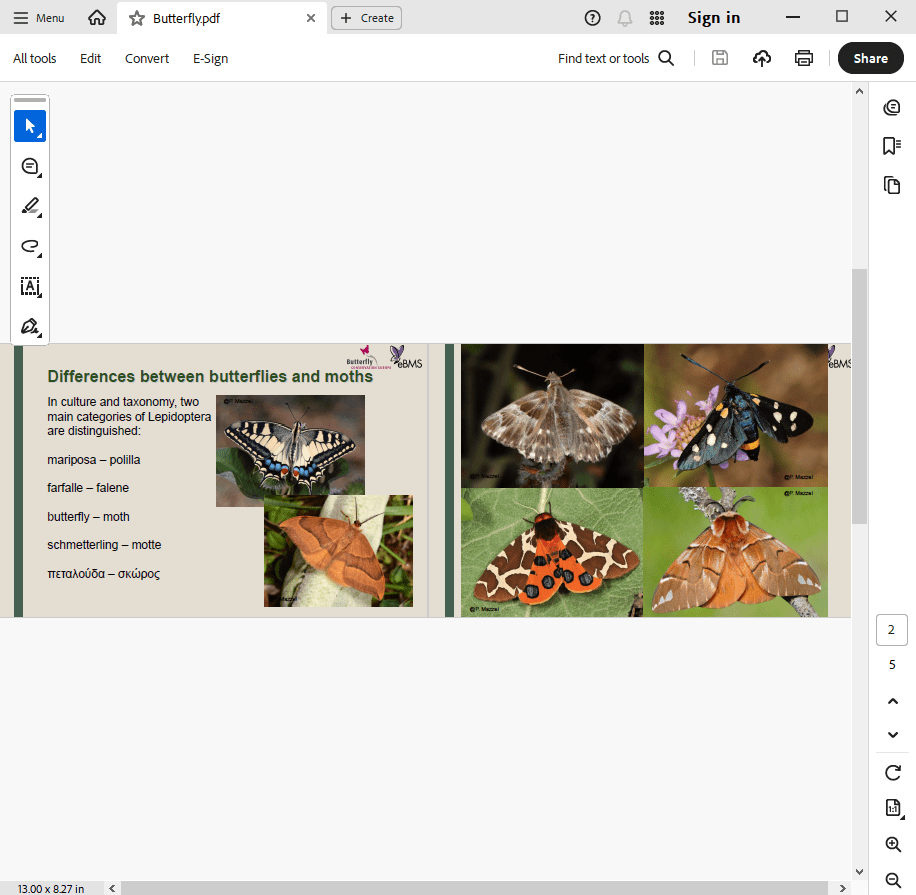 find and replace by different input